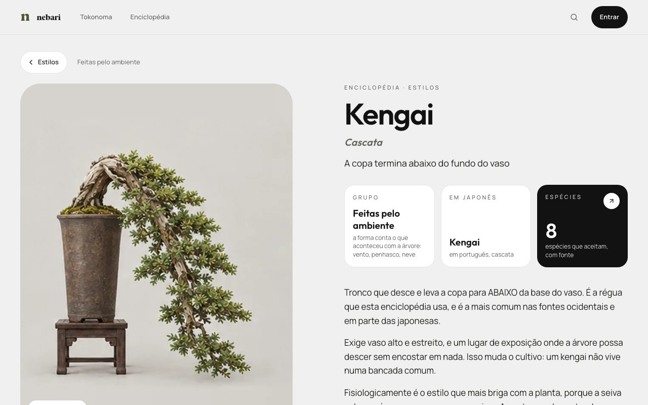 Página do estilo Kengai na Enciclopédia do Nebari, com um bonsai em cascata